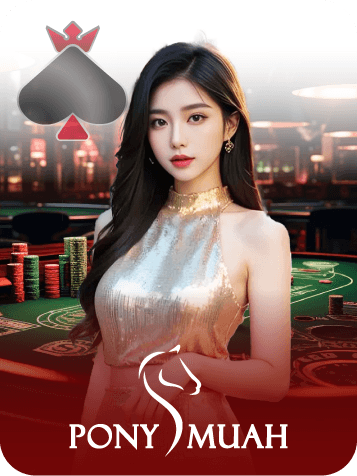 DB Casino